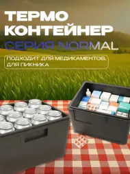 Термоконтейнер TERMOBOX Бытовой Normal, 14 л, 400х300х220 мм, 40кг/м3