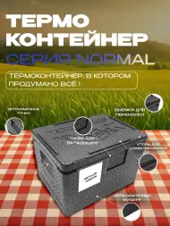 Термоконтейнер TERMOBOX Бытовой Normal, 18 л, 400х300х270 мм, 40кг/м3
